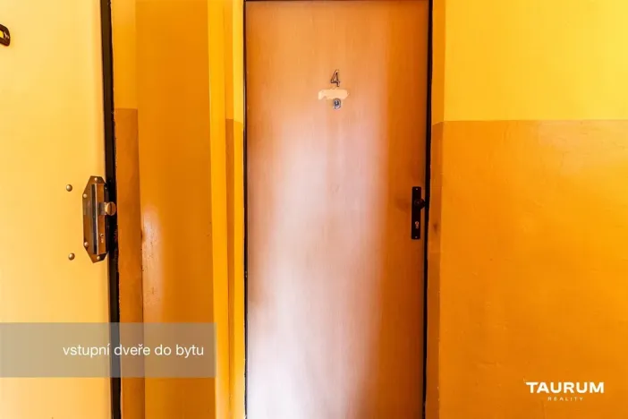 Prodej bytu 1+kk, Plzeň - Doudlevce, Luďka Pika, 20 m2