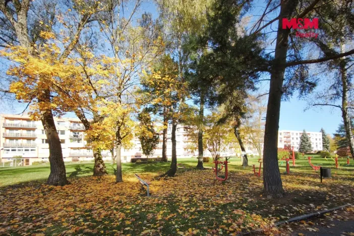 Prodej bytu 2+1, Světlá nad Sázavou, Sázavská, 60 m2