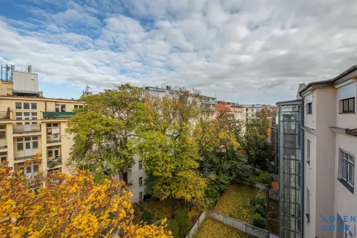 Pronájem bytu 5+kk, Praha - Vinohrady, U Havlíčkových sadů, 295 m2
