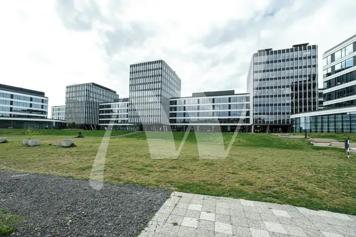 Pronájem kanceláře, Praha - Holešovice, Pod dráhou, 700 m2