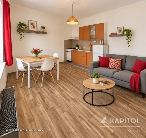 Prodej bytu 1+kk, Planá, Hřbitovní, 30 m2