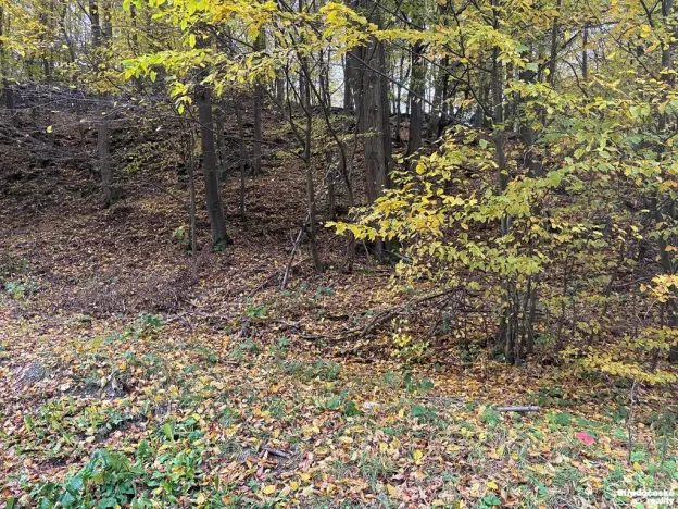 Prodej pozemku pro bydlení, Štěchovice, 852 m2
