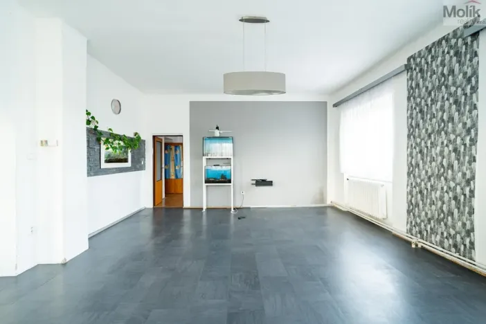 Prodej vícegeneračního domu, Žatec, Osvoboditelů, 384 m2