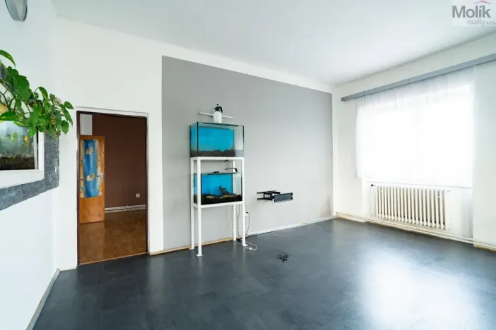 Prodej vícegeneračního domu, Žatec, Osvoboditelů, 384 m2