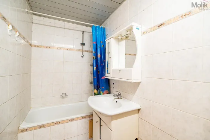 Prodej vícegeneračního domu, Žatec, Osvoboditelů, 384 m2