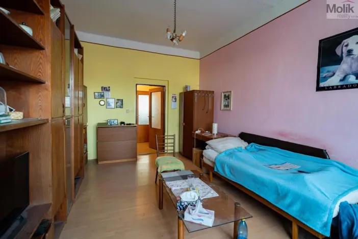 Prodej vícegeneračního domu, Žatec, Osvoboditelů, 384 m2