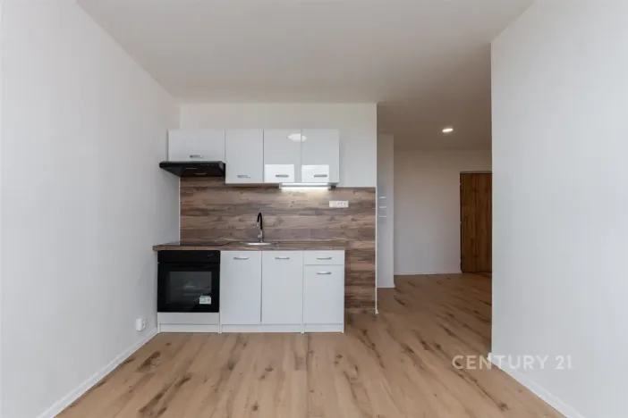 Prodej bytu 2+kk, Most, Lidická, 33 m2