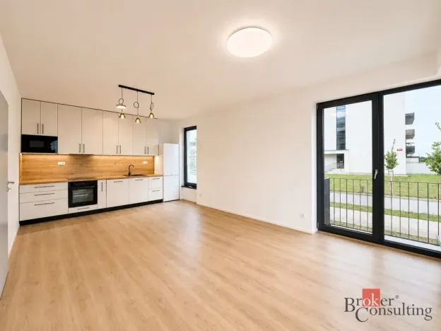 Pronájem bytu 2+kk, Plzeň - Jižní Předměstí, Železná, 58 m2