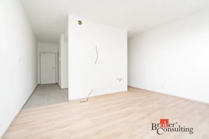 Prodej bytu 1+1, Plzeň - Bolevec, Krašovská, 36 m2