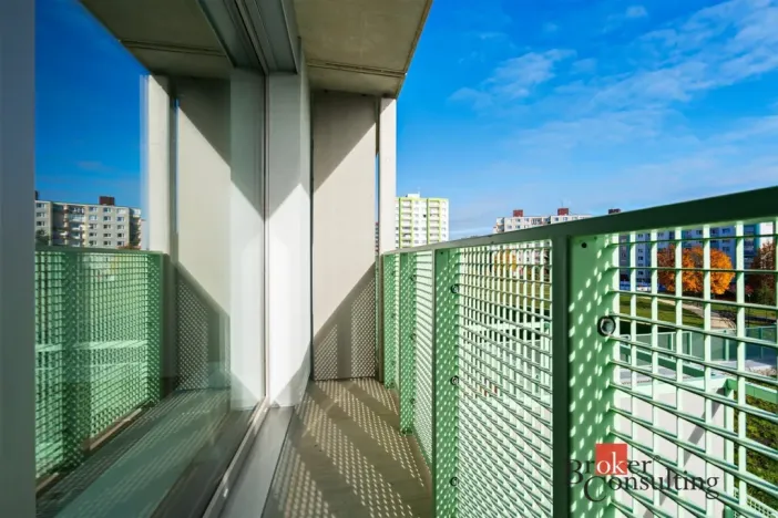 Prodej bytu 1+1, Plzeň - Bolevec, Krašovská, 36 m2