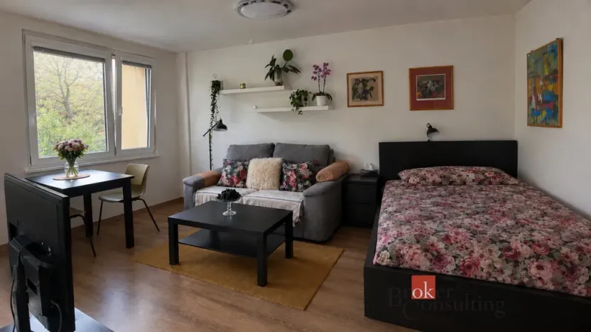 Pronájem bytu 1+kk, Praha - Střížkov, Rumburská, 27 m2