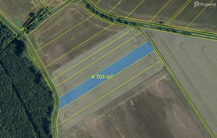 Prodej pole, Kostice, 4703 m2