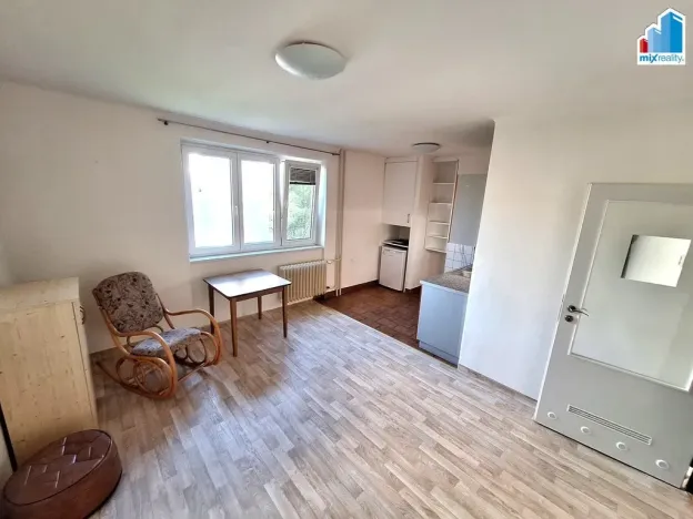 Pronájem bytu 1+kk, Plzeň - Jižní Předměstí, Raisova, 29 m2