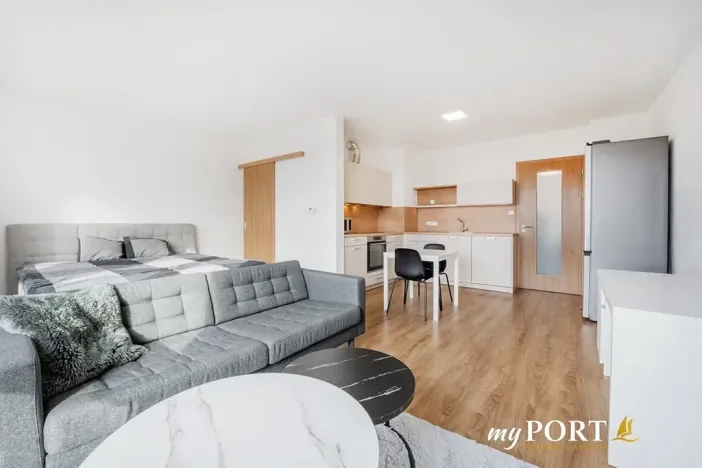 Pronájem bytu 1+kk, Plzeň, Hálkova, 41 m2