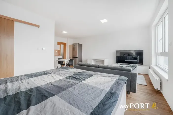 Pronájem bytu 1+kk, Plzeň, Hálkova, 41 m2