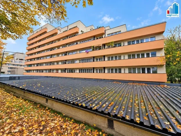 Prodej bytu 2+kk, Plzeň - Východní Předměstí, Guldenerova, 39 m2
