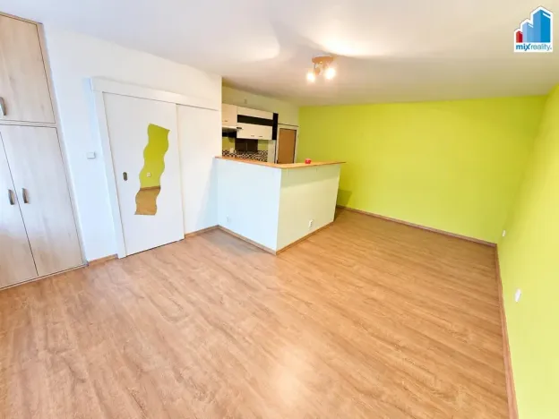 Prodej bytu 2+kk, Plzeň - Východní Předměstí, Guldenerova, 39 m2