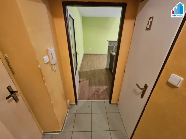 Prodej bytu 2+kk, Plzeň - Východní Předměstí, Guldenerova, 39 m2