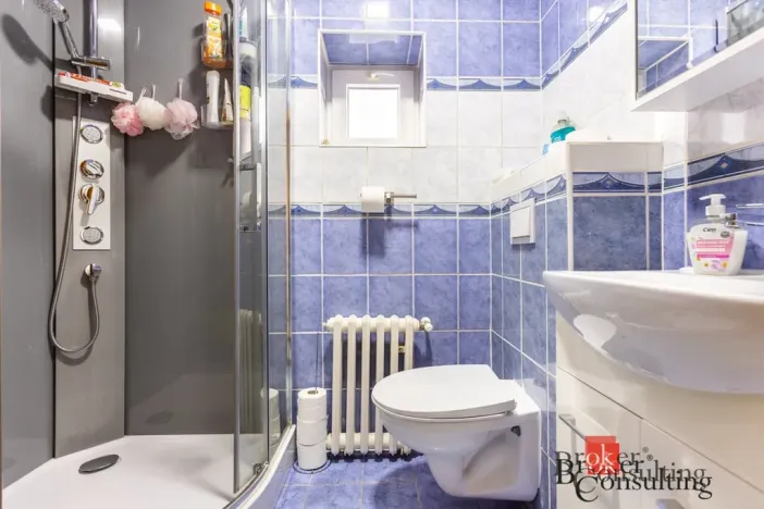 Prodej rodinného domu, Teplice, Nákladní, 265 m2
