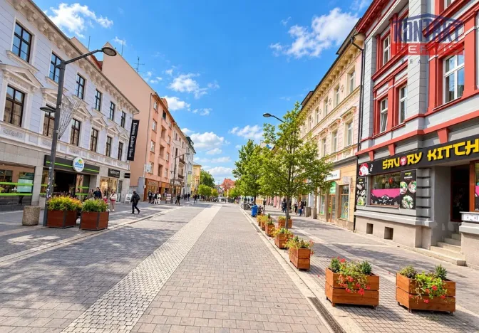Pronájem obchodního prostoru, České Budějovice, Lannova tř., 212 m2