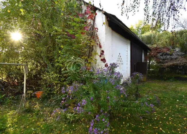 Prodej rodinného domu, Smidary - Chotělice, 90 m2