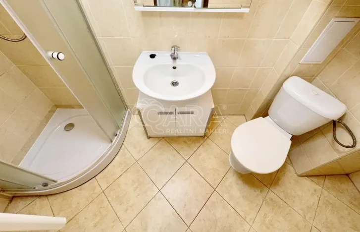 Pronájem bytu 1+kk, Praha - Smíchov, Lidická, 24 m2