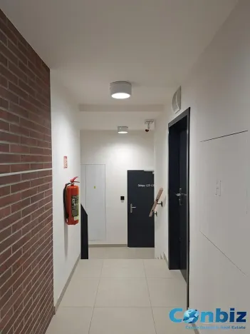 Pronájem bytu 2+kk, Praha - Karlín, Švarcova, 57 m2