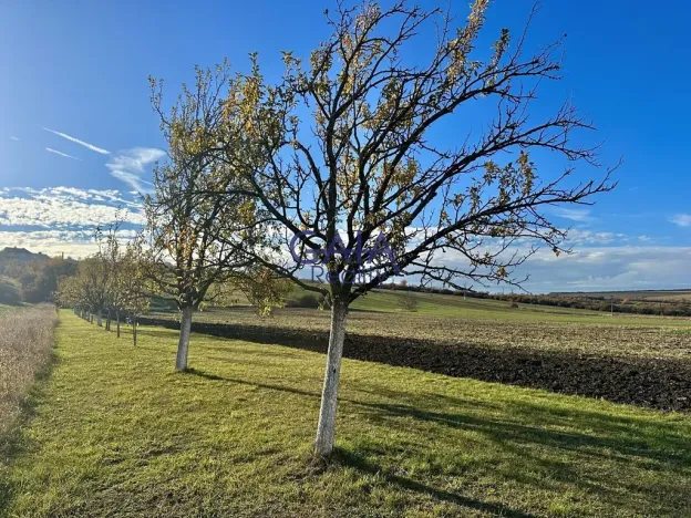 Prodej pole, Velká nad Veličkou, 1517 m2