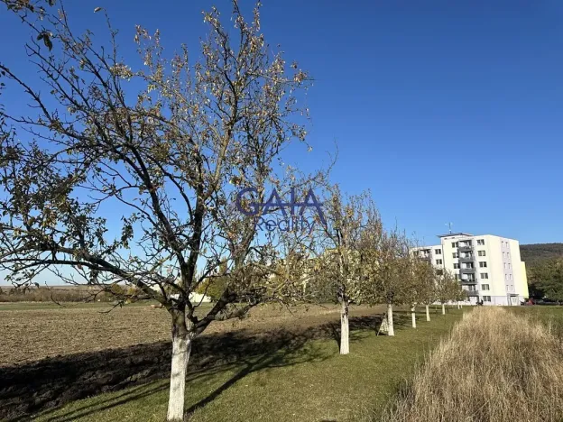 Prodej pole, Velká nad Veličkou, 1517 m2