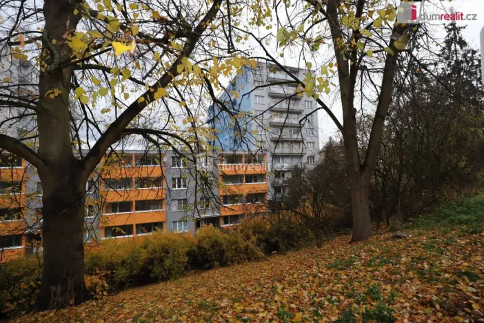 Prodej bytu 2+kk, Karlovy Vary - Drahovice, Vítězná, 41 m2