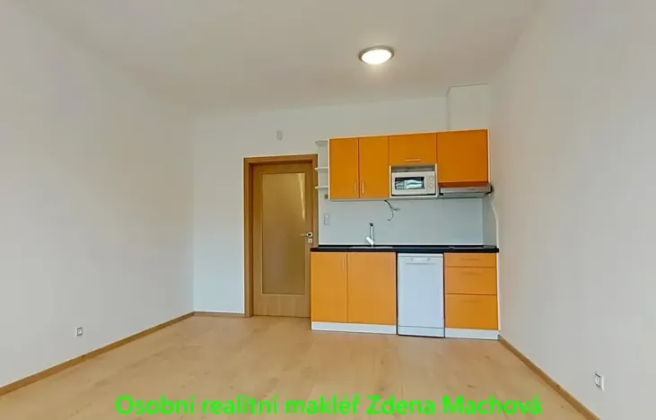 Pronájem bytu 1+kk, Praha - Žižkov, Olšanská, 33 m2