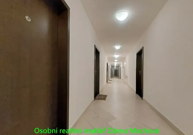 Pronájem bytu 1+kk, Praha - Žižkov, Olšanská, 33 m2