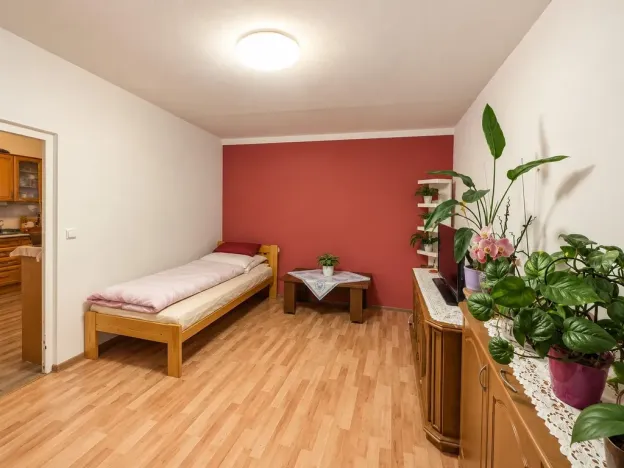 Pronájem bytu 1+1, Duchcov, Osecká, 35 m2