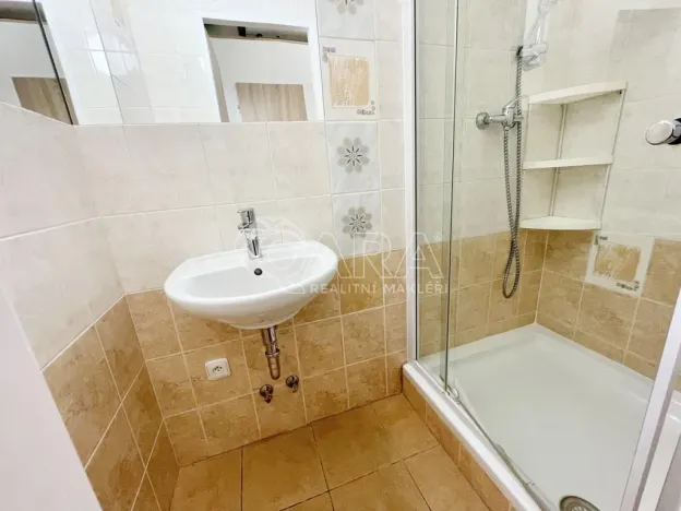 Pronájem bytu 2+kk, Praha - Vinohrady, Mánesova, 47 m2